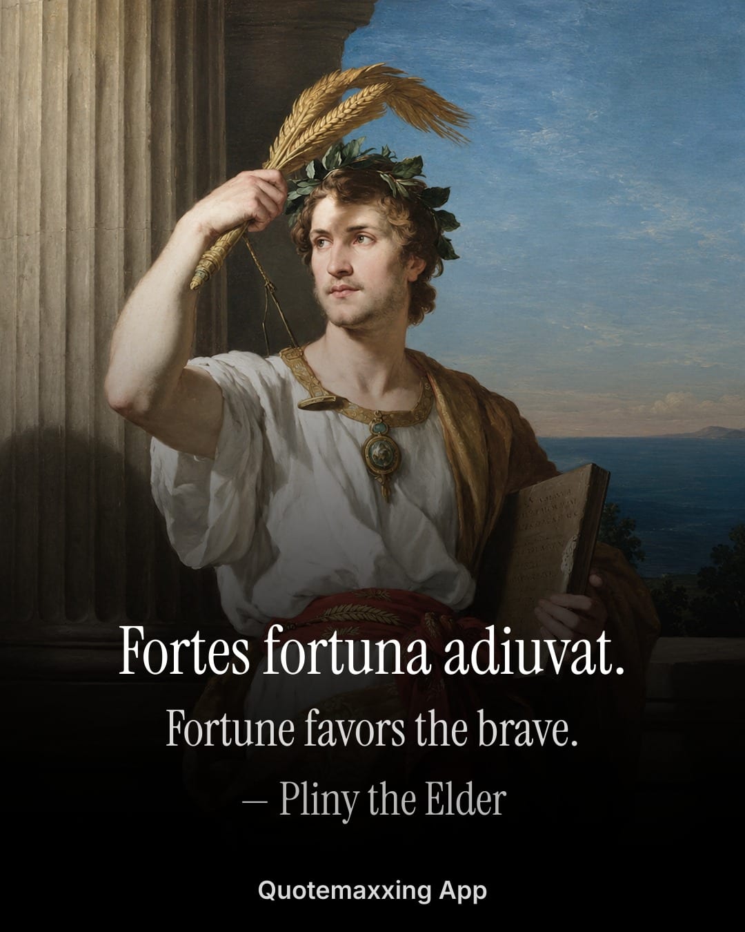 Pliny the Elder quote "Fortes fortuna adiuvat." with its English translation, fortune favors the brave